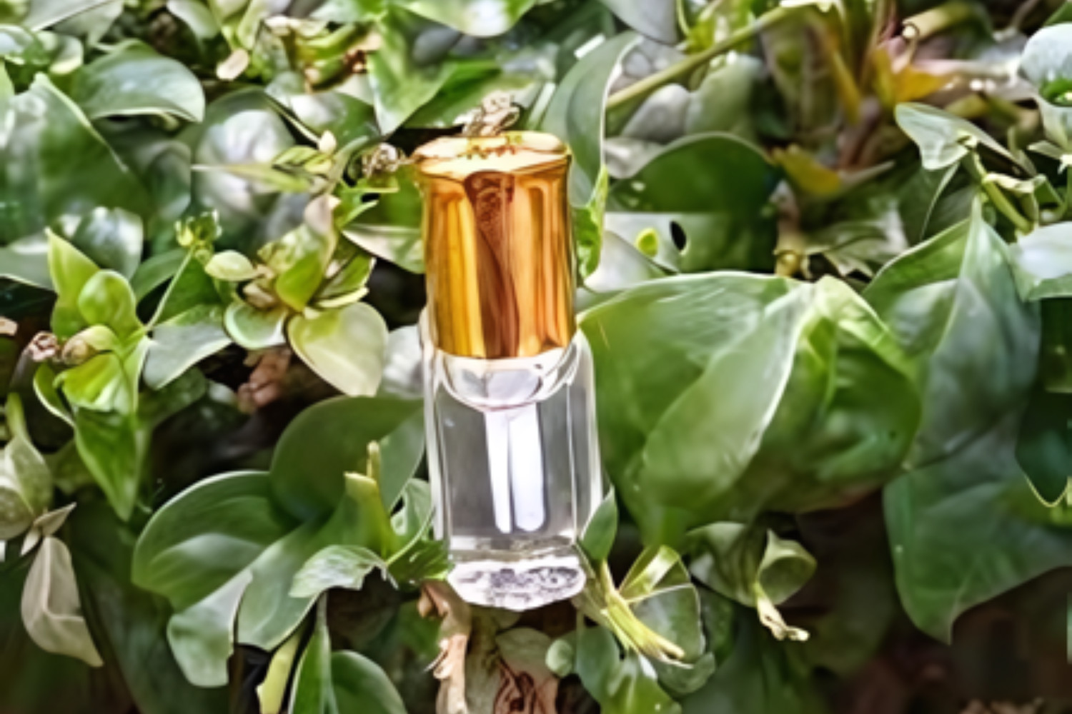 Spice Perfume (Manukato)