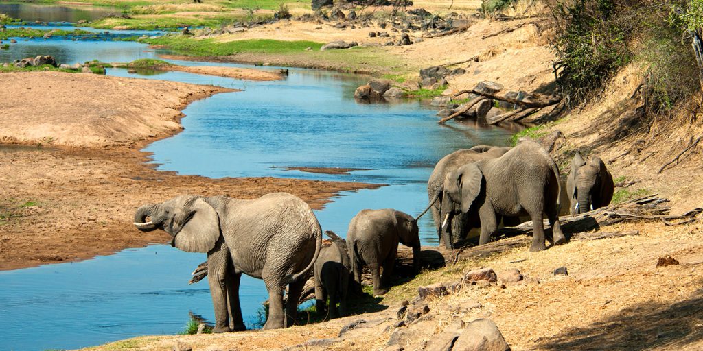 10 Days Zanzibar, Ruaha and Safari Escape