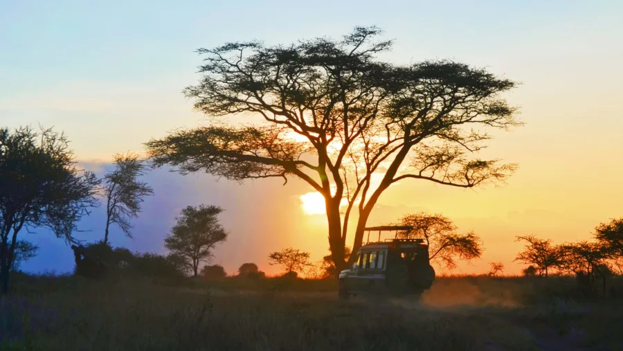 3 Days Mikumi Safari from Dar es Salaam