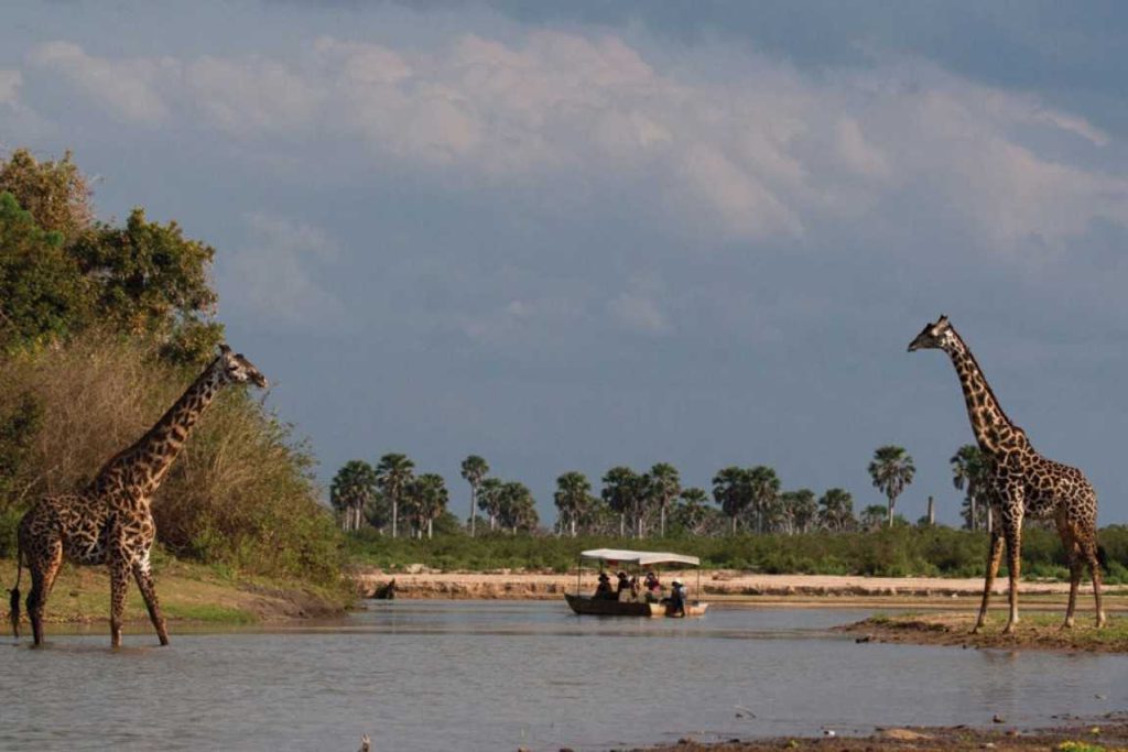 4 Days Nyerere National Park Safari from Dar es Salaam